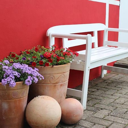 Bassum Ferienwohnung Zum Nordlicht מראה חיצוני תמונה