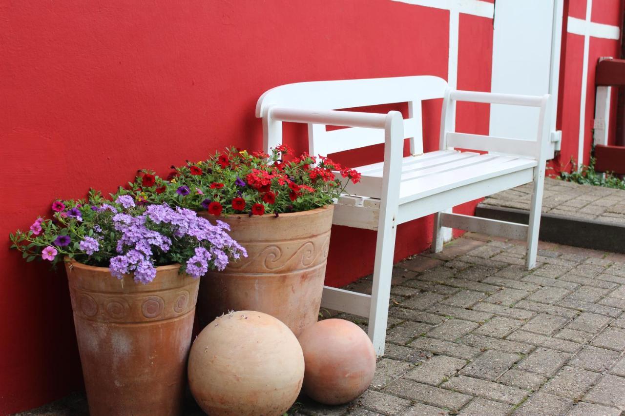Bassum Ferienwohnung Zum Nordlicht מראה חיצוני תמונה